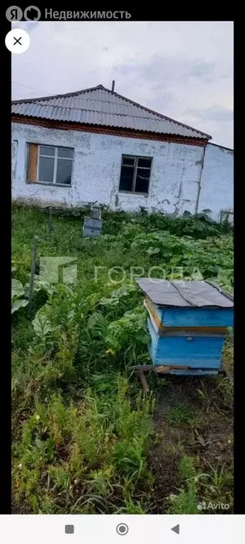 1-комнатная квартира: Черепановский район, село Татарка, Заречная ... - Фото 2