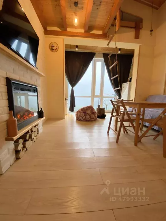 Студия Краснодарский край, Сочи Красная Поляна пгт, ул. Ачишховская, ... - Фото 1