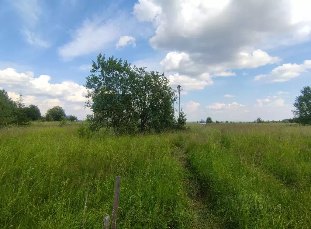 Участок в Ивановская область, Ивановский район, с. Ново-Талицы ул. ... - Фото 0