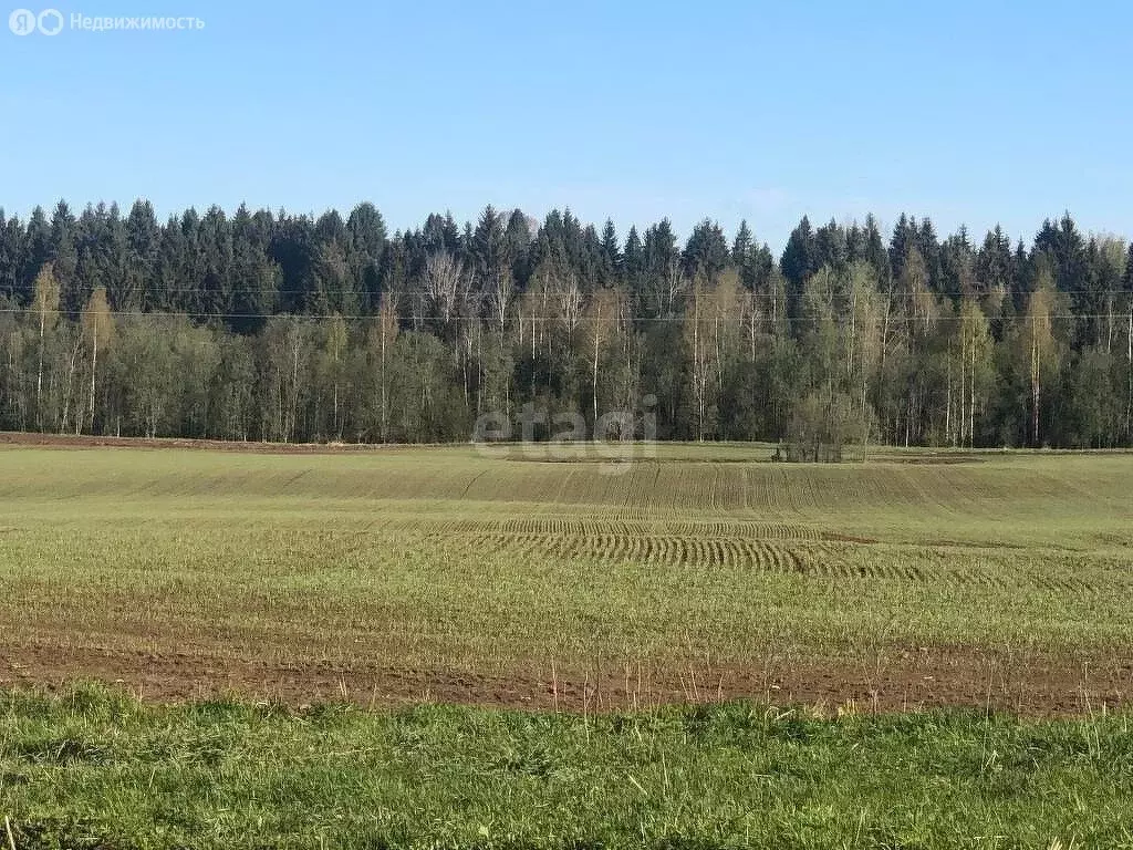 Участок в Вологодский муниципальный округ, посёлок Перьево (10 м) - Фото 0