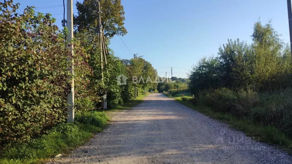 Участок в Калининградская область, Светлогорский городской округ, пос. ... - Фото 1