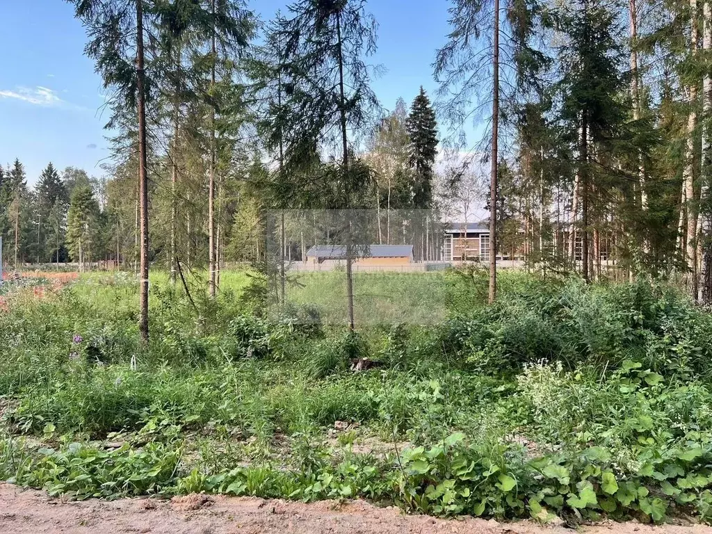 Участок в Московская область, Наро-Фоминский городской округ, д. ... - Фото 1