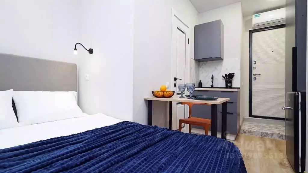 1-к кв. Татарстан, Казань Габдуллы Тукая ул., 62а (11.0 м) - Фото 1