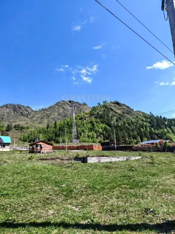 Участок в Алтай, Чемальский район, с. Чемал ул. Сосновая (11.88 сот.) - Фото 2