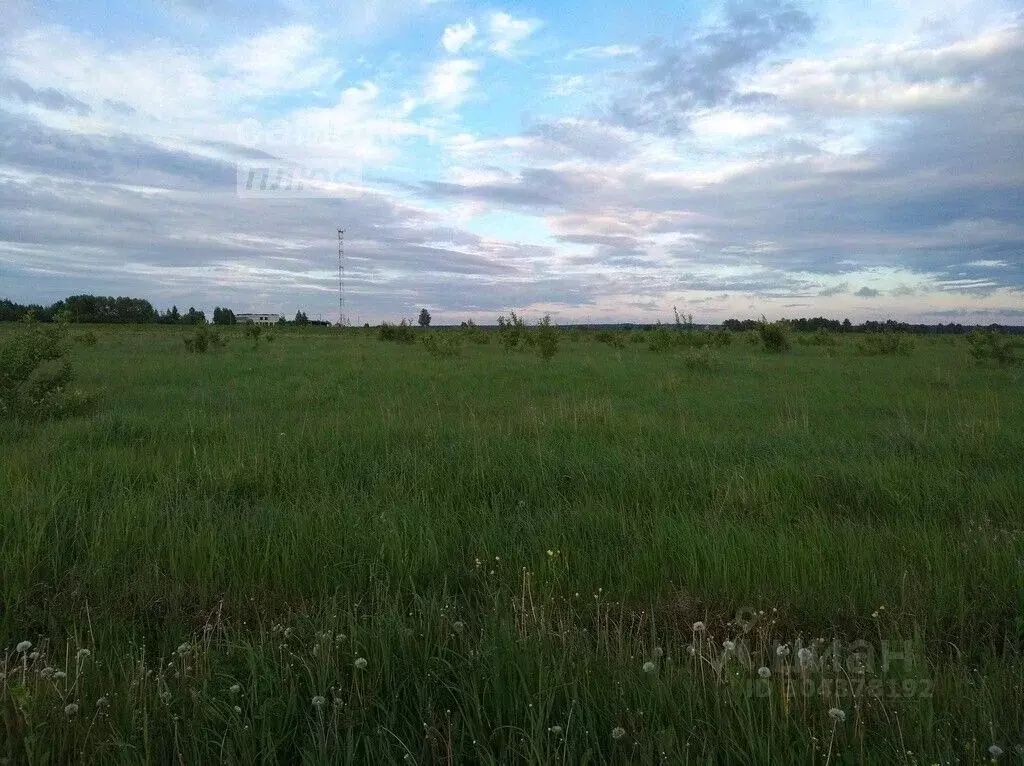 участок в башкортостан, уфа городской округ, д. самохваловка ул. . - Фото 1