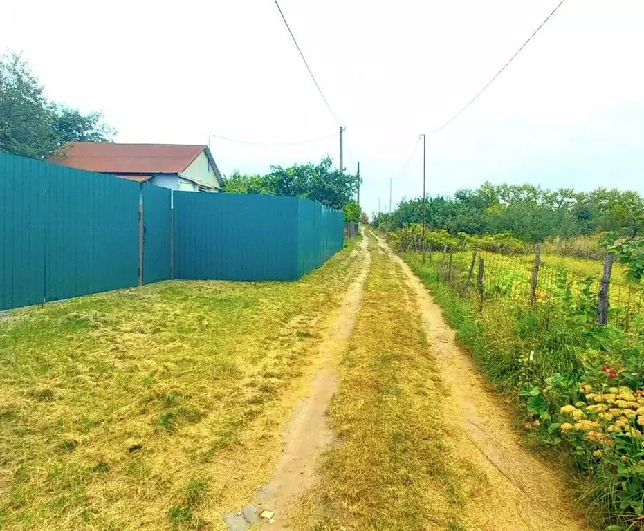 Дом в Курский район, Клюквинский сельсовет, СНТ Звёздочка, 1384 (30 м) - Фото 0
