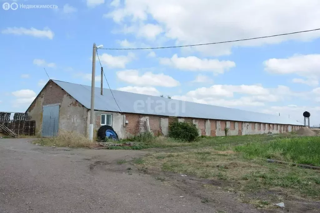 Помещение свободного назначения (5000 м) - Фото 1