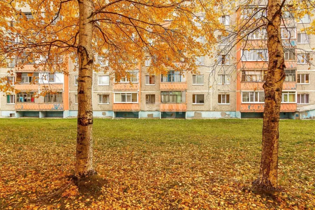 1-к кв. Ханты-Мансийский АО, Лангепас Комсомольская ул., 3 (37.4 м) - Фото 0