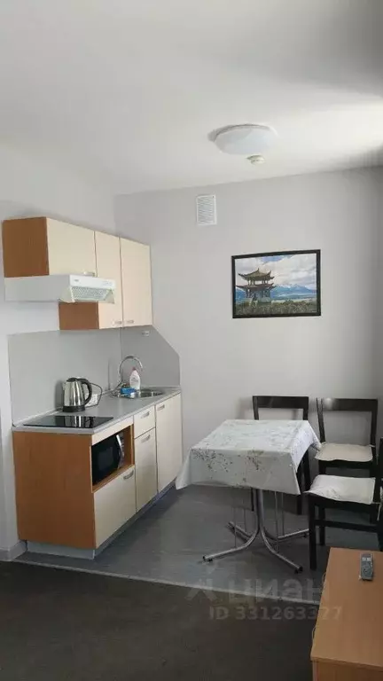 Студия Татарстан, Казань просп. Победы, 90 (25.0 м) - Фото 1