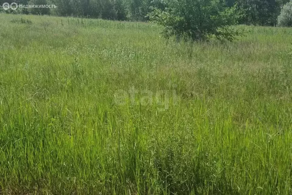 Участок в Златоуст, Садовая улица (20 м) - Фото 0