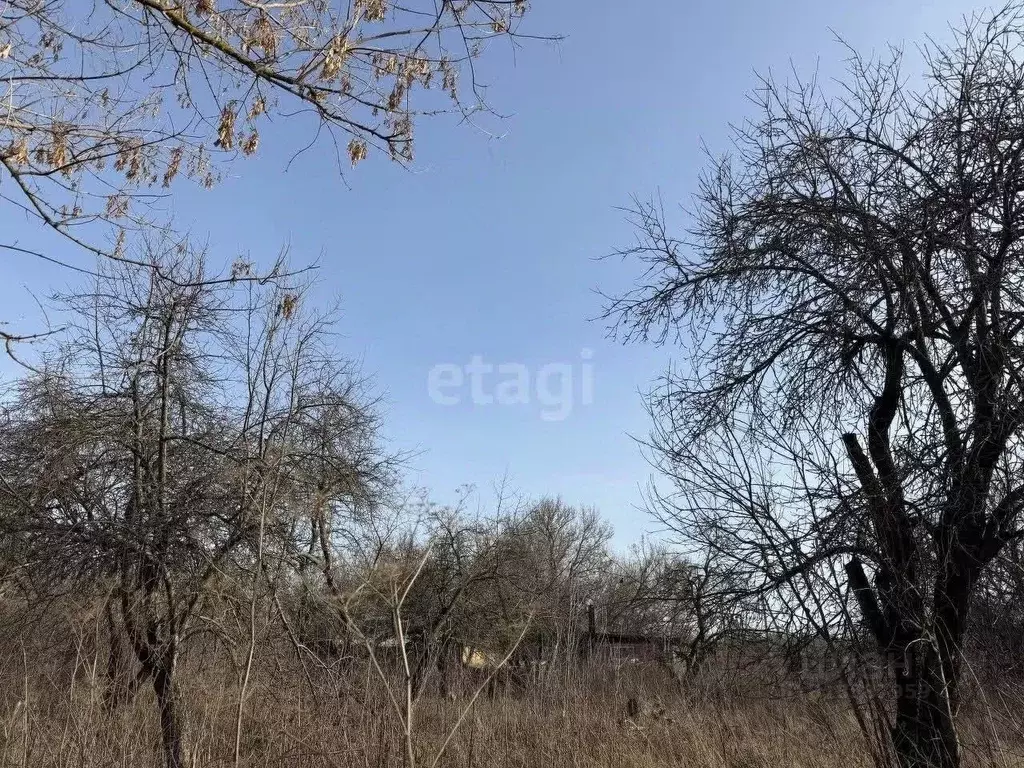 Участок в Курская область, Курск ул. 1-я Стрелецкая, 3 (15.0 сот.) - Фото 0