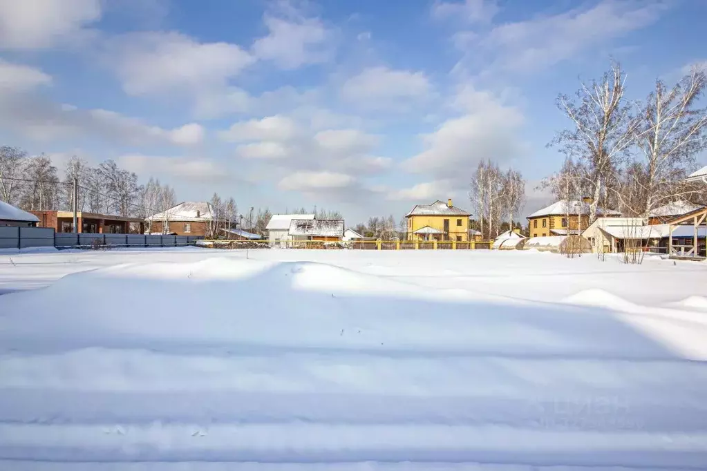 Участок в Новосибирская область, Новосибирский район, Мочищенский ... - Фото 1