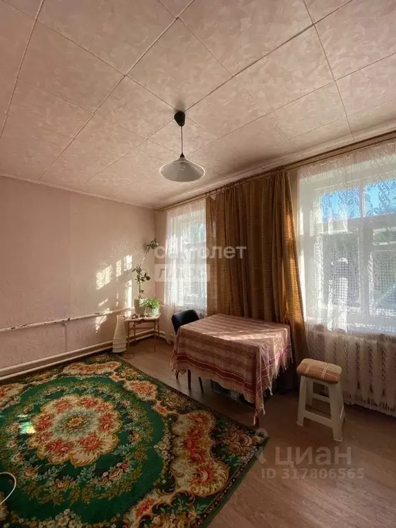 2-к кв. Нижегородская область, Бор Октябрьская ул., 2А (31.3 м) - Фото 1