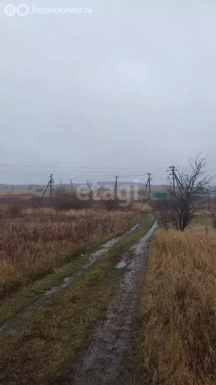 Участок в Калининградская область, Зеленоградский муниципальный округ, ... - Фото 0