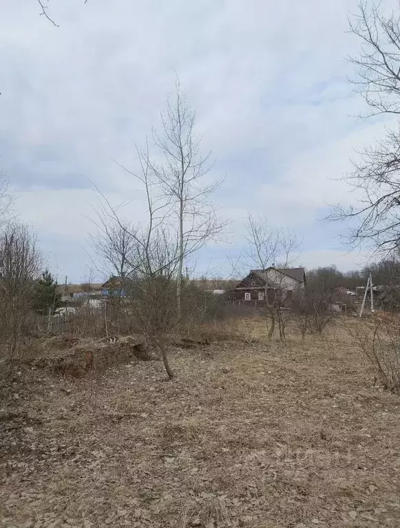 Участок в Новгородская область, Боровичский муниципальный район, ... - Фото 2