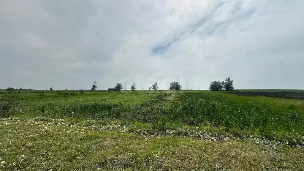 Дом в Орловская область, Орловский район, д. Жуковка Раздольная ул., ... - Фото 0