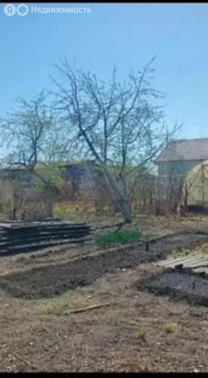 Участок в Омская область, Азовский немецкий район, деревня Новинка, ... - Фото 0