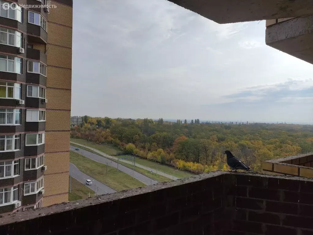 Квартира-студия: Воронеж, Острогожская улица, 168С (27.1 м) - Фото 1