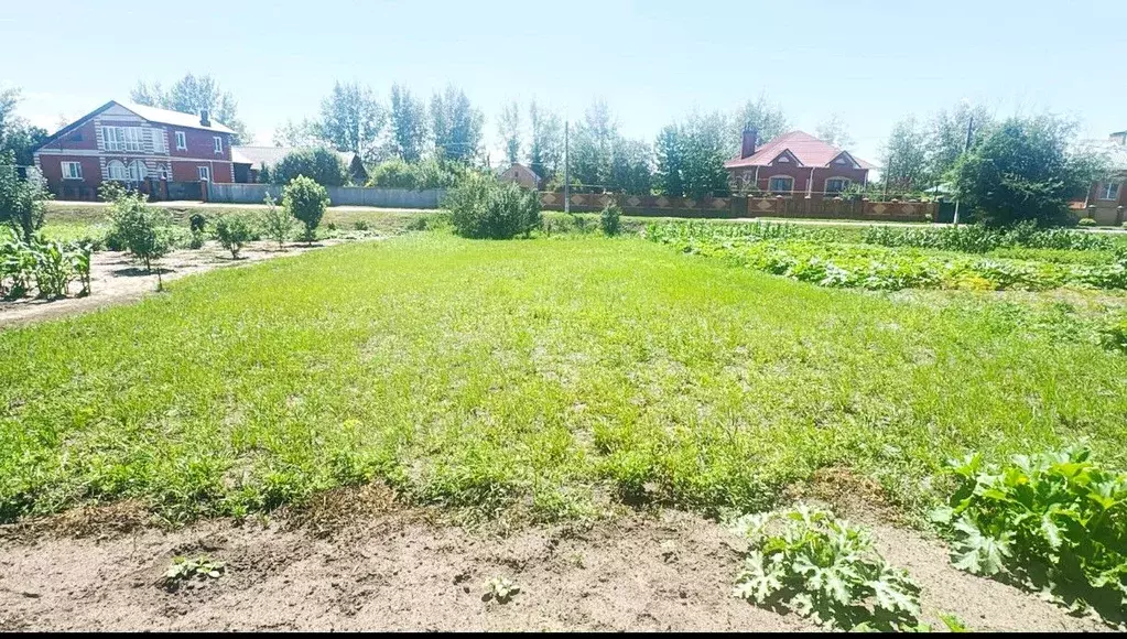Участок в Белгородская область, Алексеевка пер. Ремесленников (6.0 ... - Фото 0