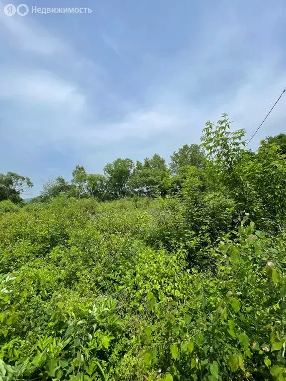 Участок в Уссурийский городской округ, село Глуховка, Зелёная улица, ... - Фото 1