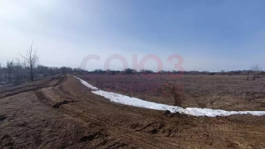 Участок в Волгоградская область, Среднеахтубинский район, Фрунзенское ... - Фото 0