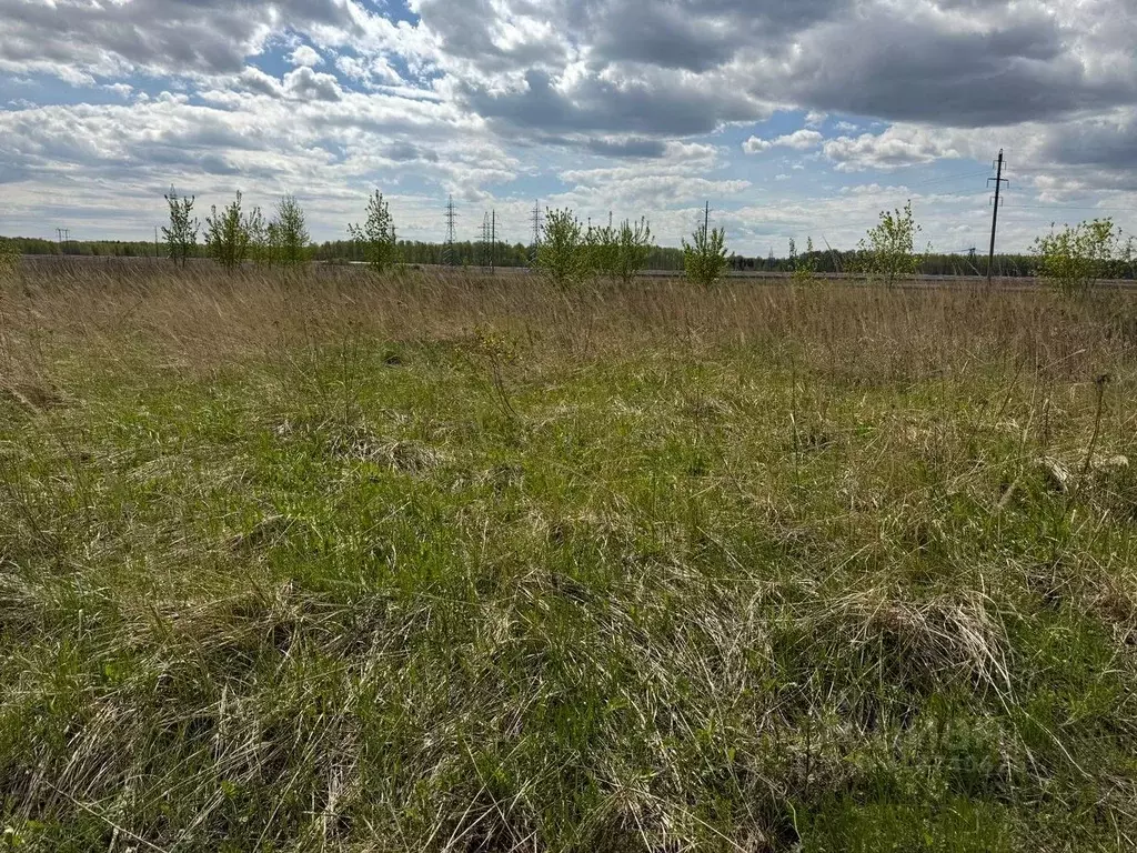 Участок в Московская область, Богородский городской округ, д. ... - Фото 0