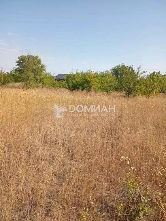 Участок в Ростовская область, Октябрьский район, Красюковское с/пос, ... - Фото 1