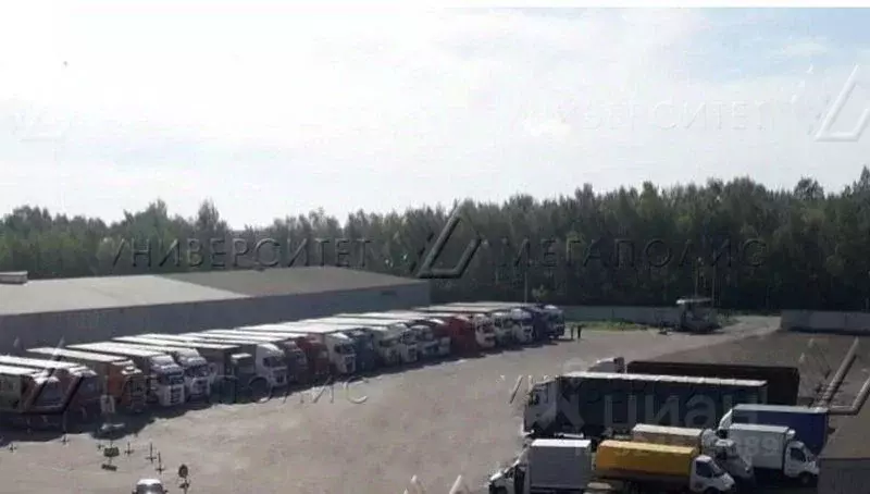 Склад в Московская область, Ногинск Богородский городской округ, ул. ... - Фото 1