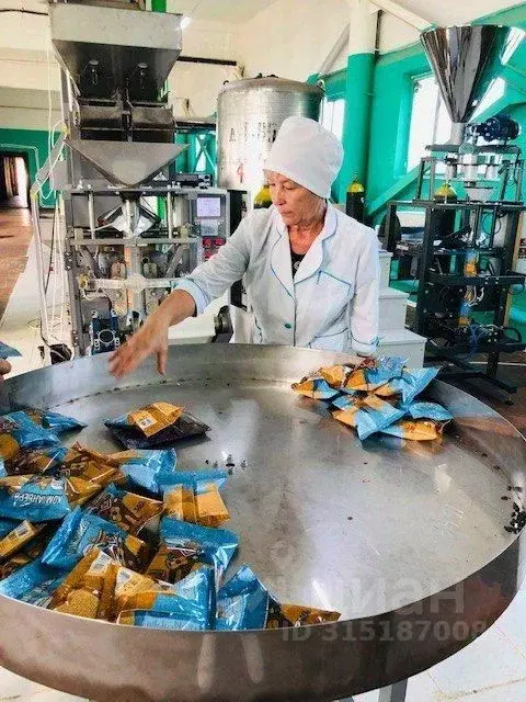 Производственное помещение в Самарская область, Безенчукский район, ... - Фото 1