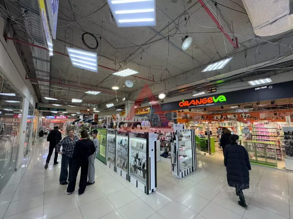 Помещение свободного назначения в Севастополь просп. Генерала ... - Фото 1