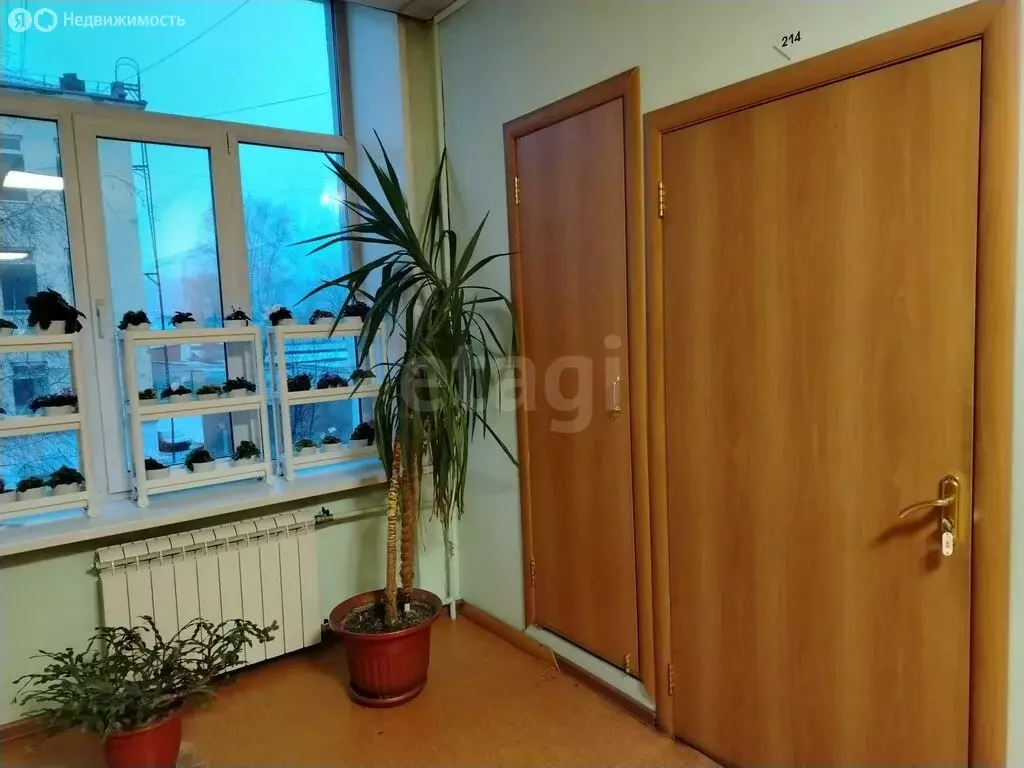 Офис (23.4 м) - Фото 1