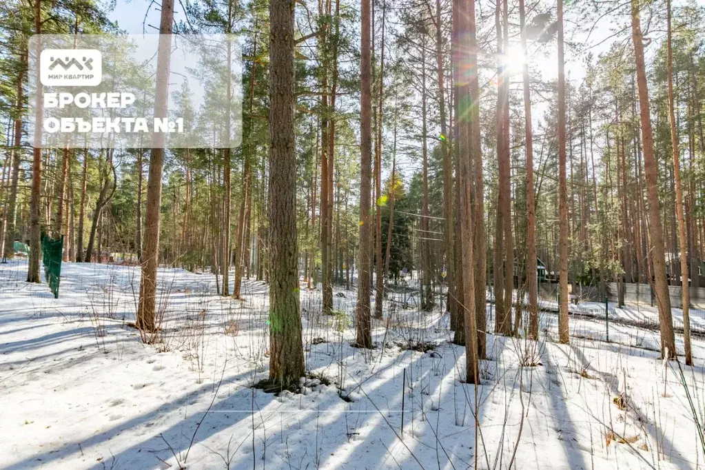 Участок в Санкт-Петербург пос. Солнечное, ул. 1-я Боровая (24.0 сот.) - Фото 1