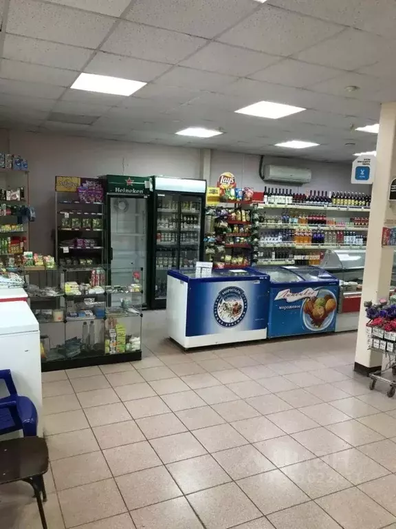 Помещение свободного назначения в Псковская область, Порхов ул. ... - Фото 2