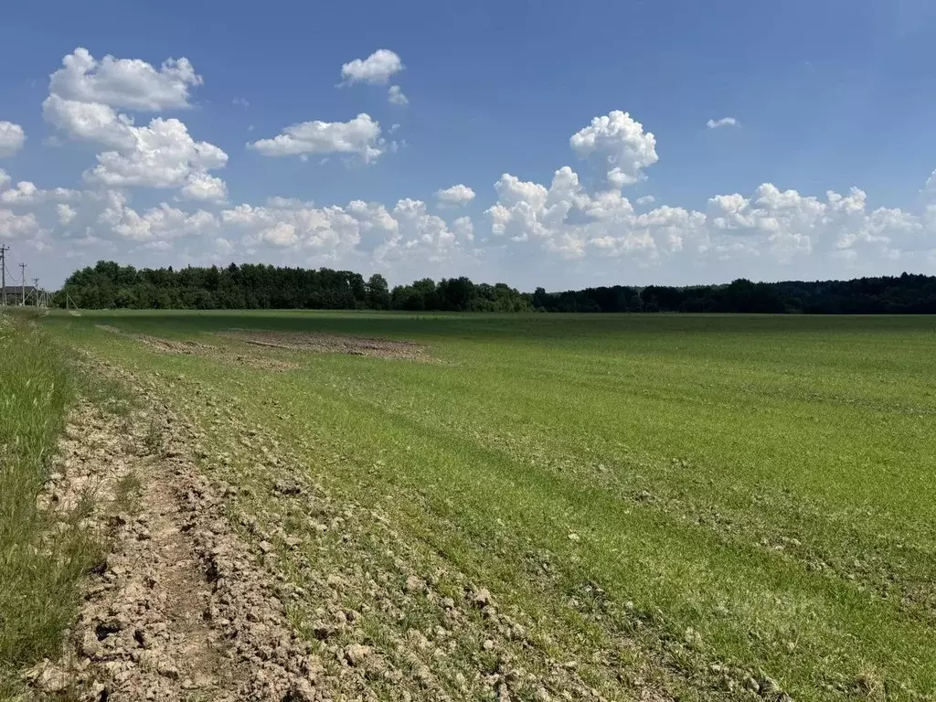 Участок в Московская область, Ступино городской округ, с. Татариново  ... - Фото 1
