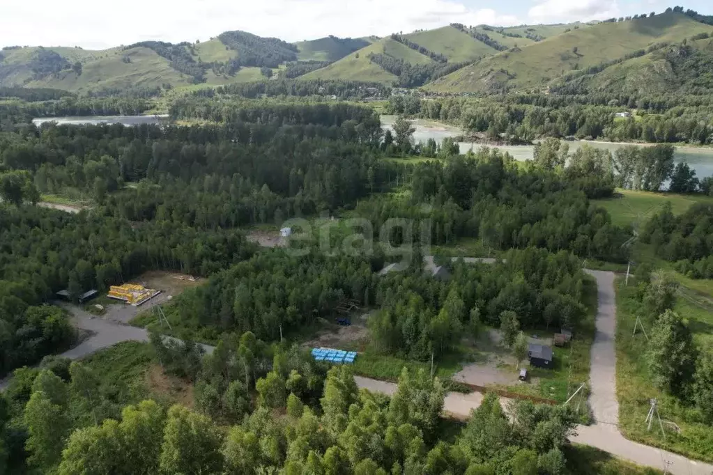 Участок в Алтай, Майминский район, Соузгинское с/пос, пос. Черемшанка ... - Фото 1