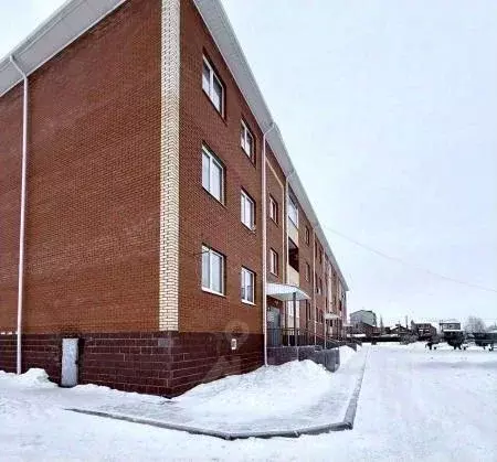 1-к кв. Омская область, Любинский рп ул. Октябрьская, 131 (33.7 м) - Фото 1