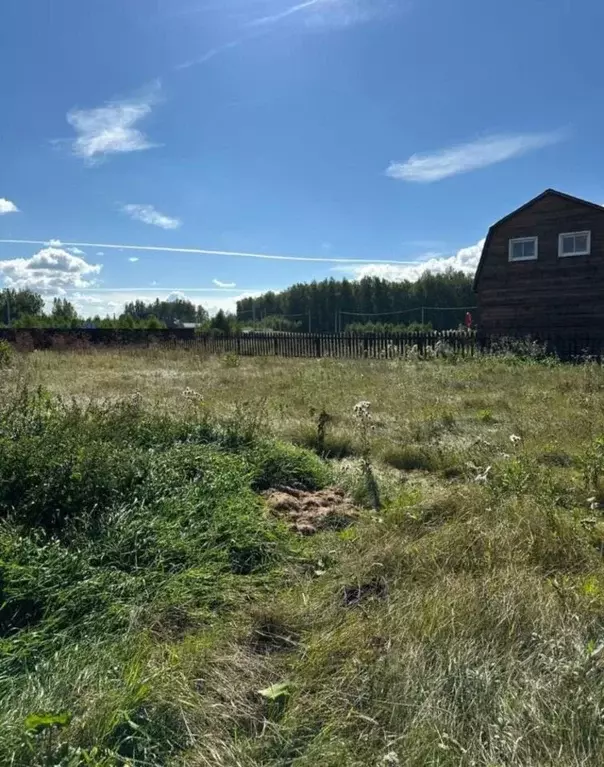 Участок в Челябинская область, Аргаяшский район, Байрамгуловское ... - Фото 0