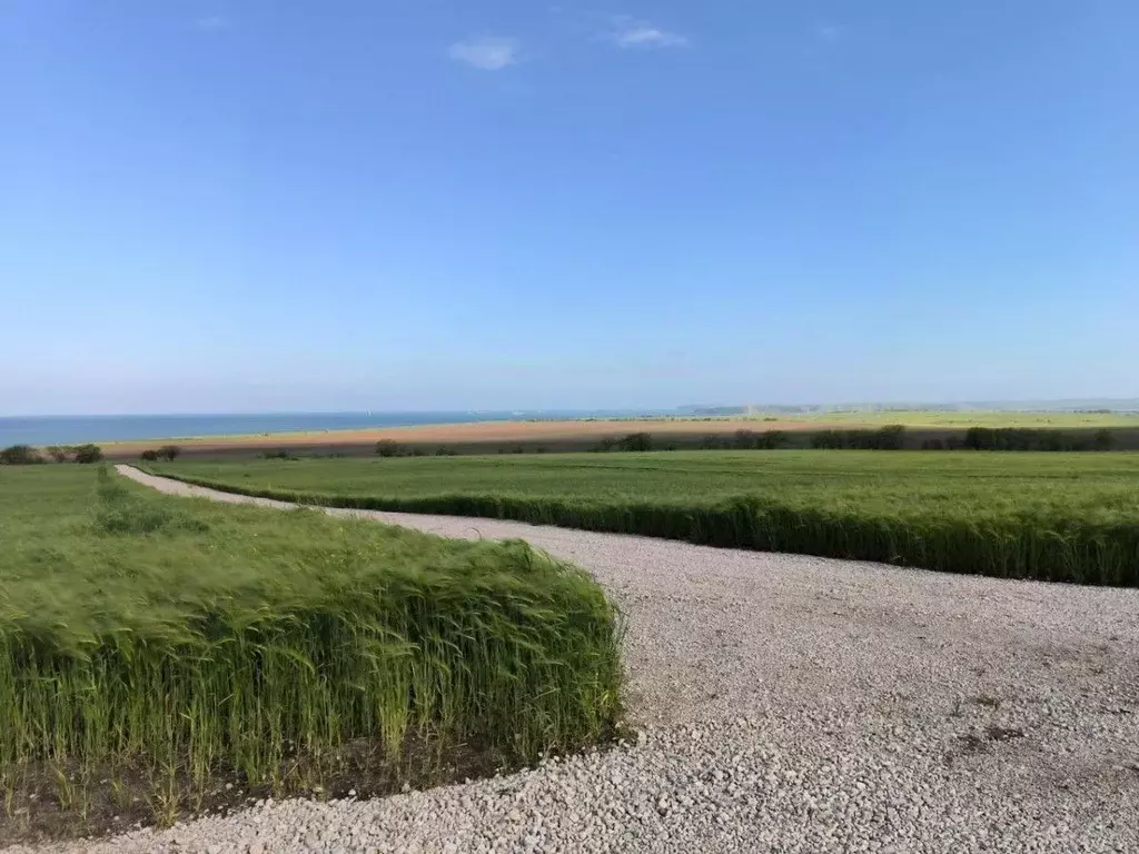 Участок в Крым, Ленинский район, Челядиновское с/пос, с. Челядиново ... - Фото 1