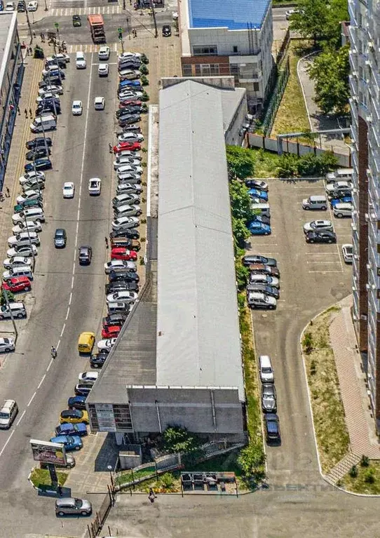 Торговая площадь в Краснодарский край, Новороссийск Пионерская ул., 11 ... - Фото 1