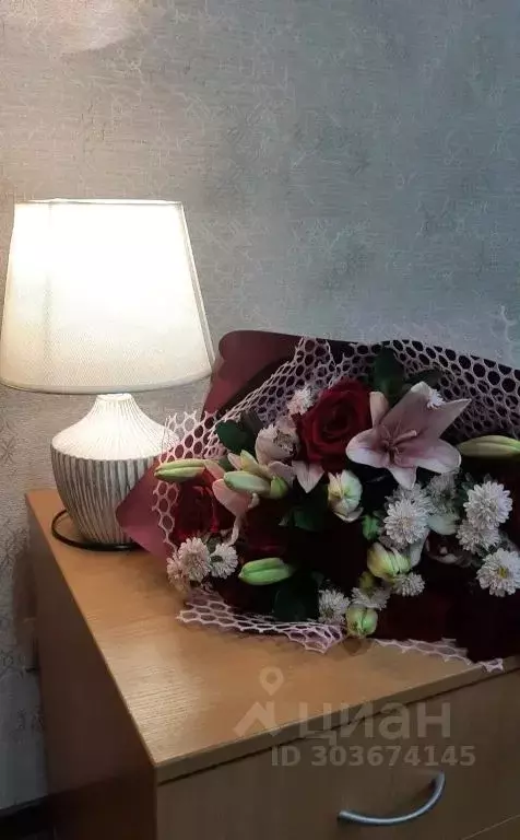 Студия Коми, Сыктывкар ул. Панева, 1/2 (30.0 м) - Фото 1