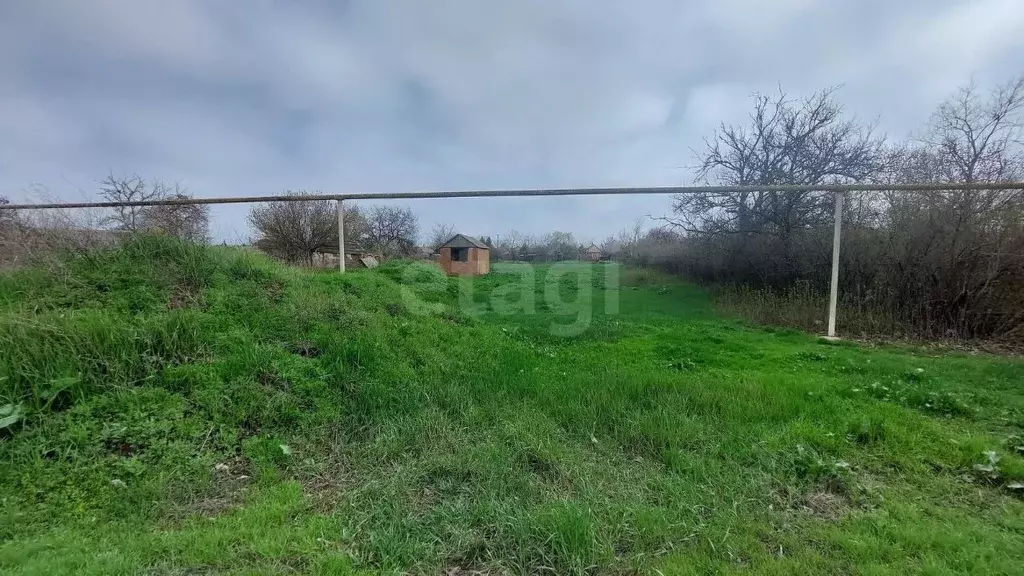 Участок в Краснодарский край, Ейский район, Камышеватская ст-ца ул. ... - Фото 0