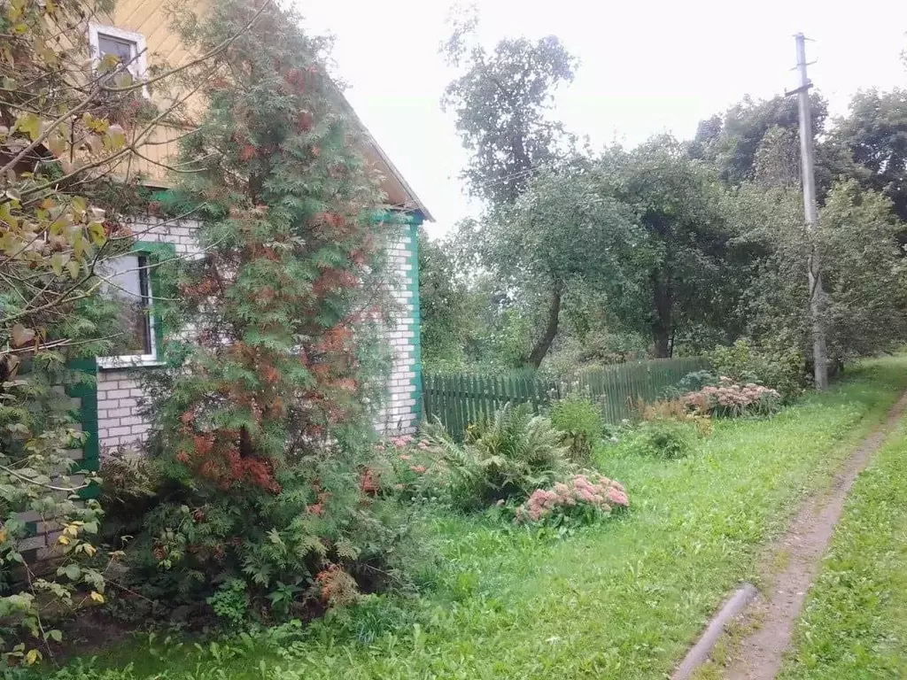 Дом в Псковская область, Красногородский муниципальный округ, д. ... - Фото 2