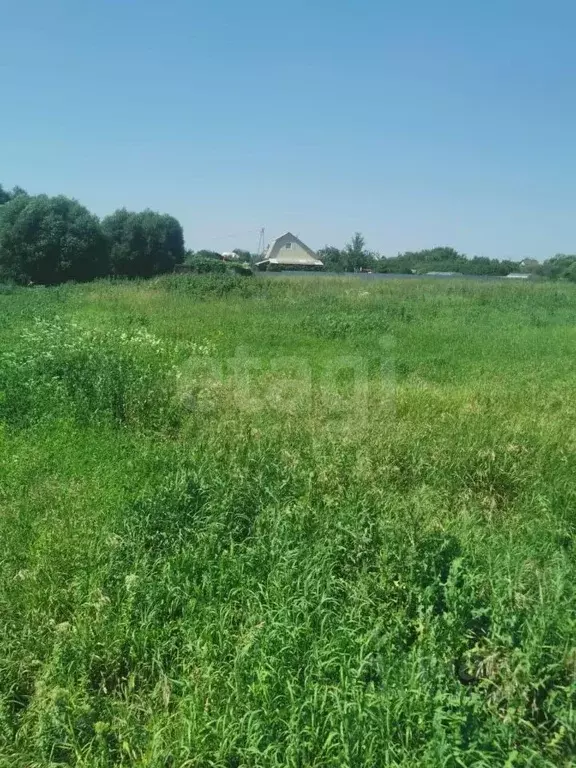 Участок в Тамбовская область, Тамбов городской округ, с. Бокино ул. ... - Фото 2