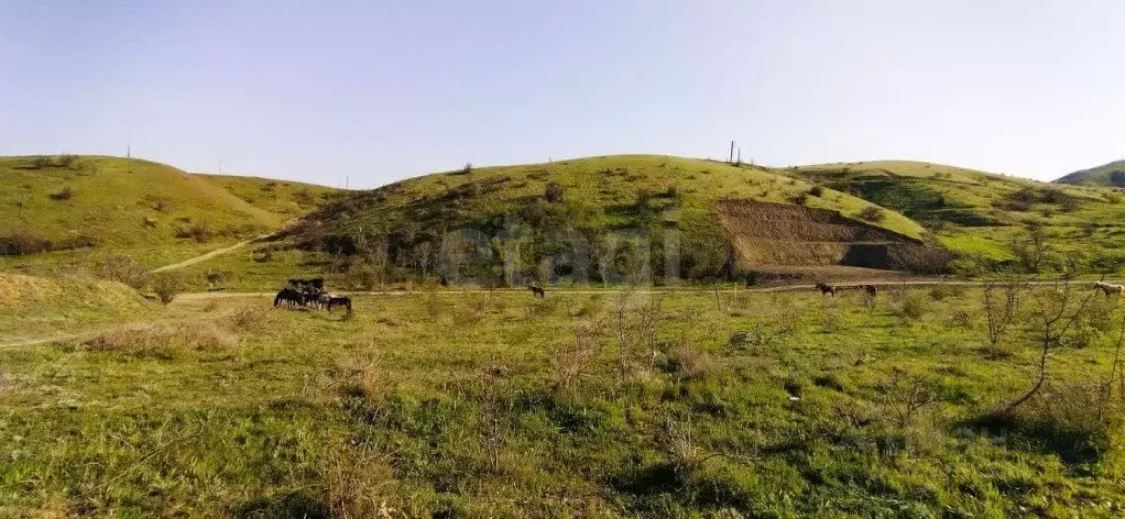 Участок в Крым, Феодосия муниципальный округ, Курортное пгт ул. Дружбы ... - Фото 1