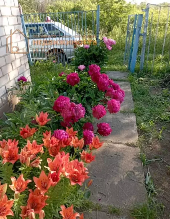 Дача 26 м на участке 6 сот. - Фото 0