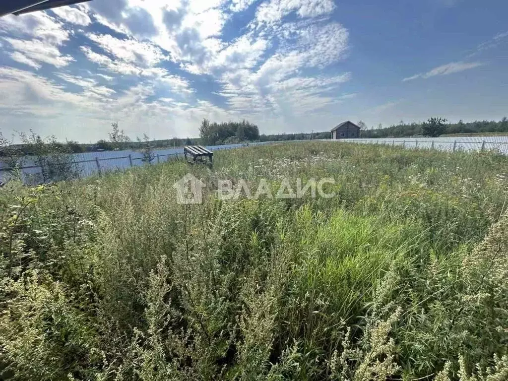 Участок в Владимирская область, Гусь-Хрустальный район, Анопино ... - Фото 0