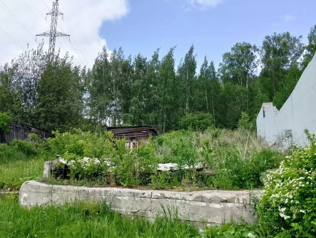 Участок в Свердловская область, Верхняя Пышма городской округ, пос. ... - Фото 1