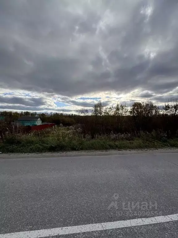 Участок в Мурманская область, Мурманск  (11.0 сот.) - Фото 1