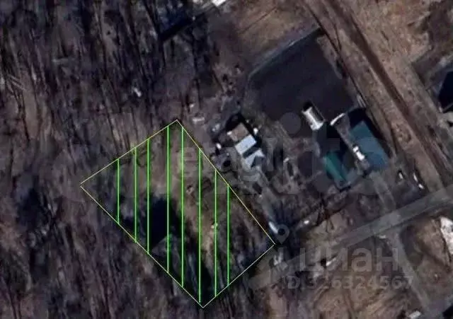 Участок в Новосибирская область, Новосибирский район, Березовский ... - Фото 1