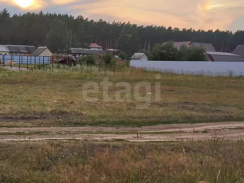 Участок в Мордовия, Ичалковский район, пос. Смольный Школьный пер. ... - Фото 1